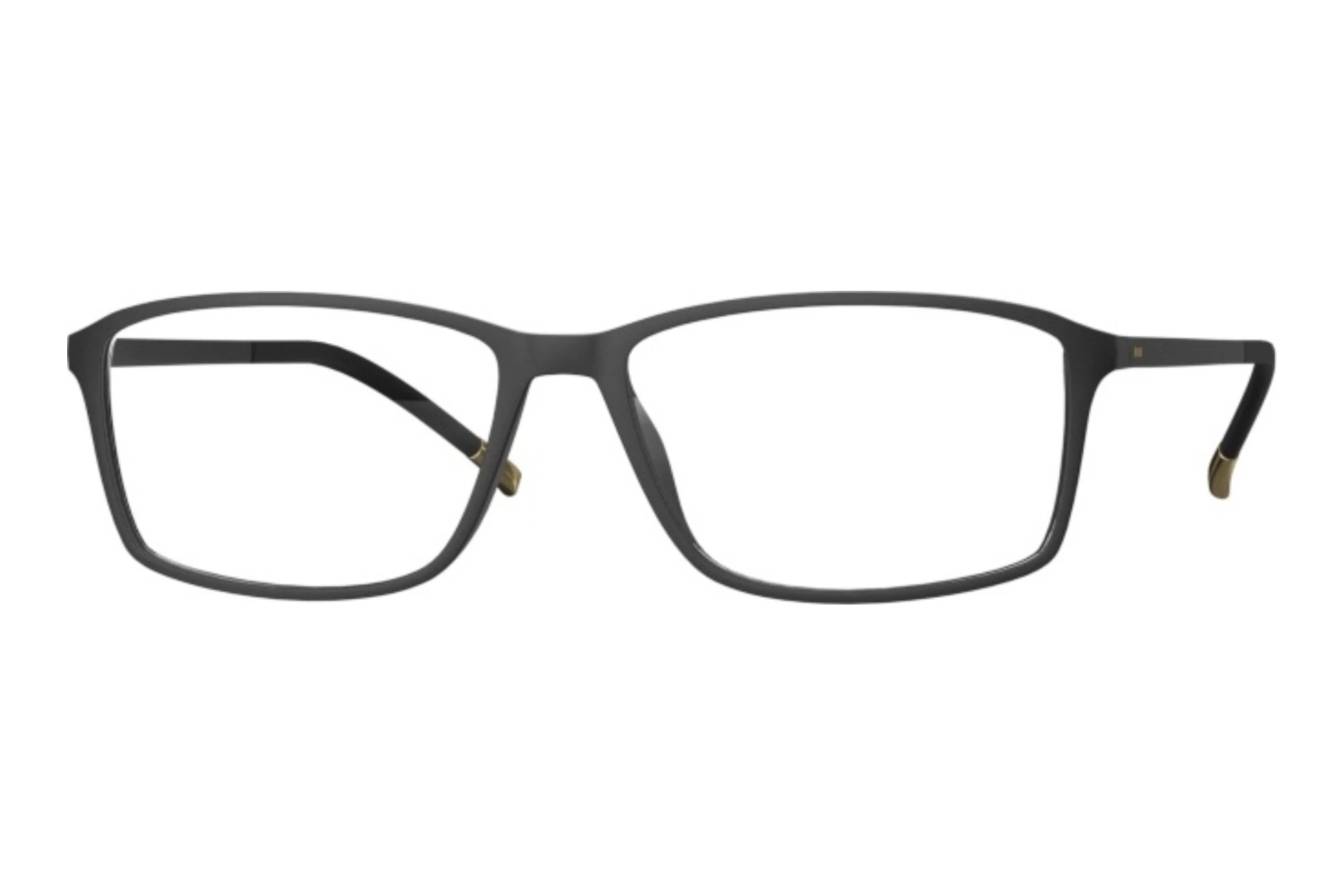 Silhouette 2942 9030 Black Matte Silhouette 2942 9030 Black Matte