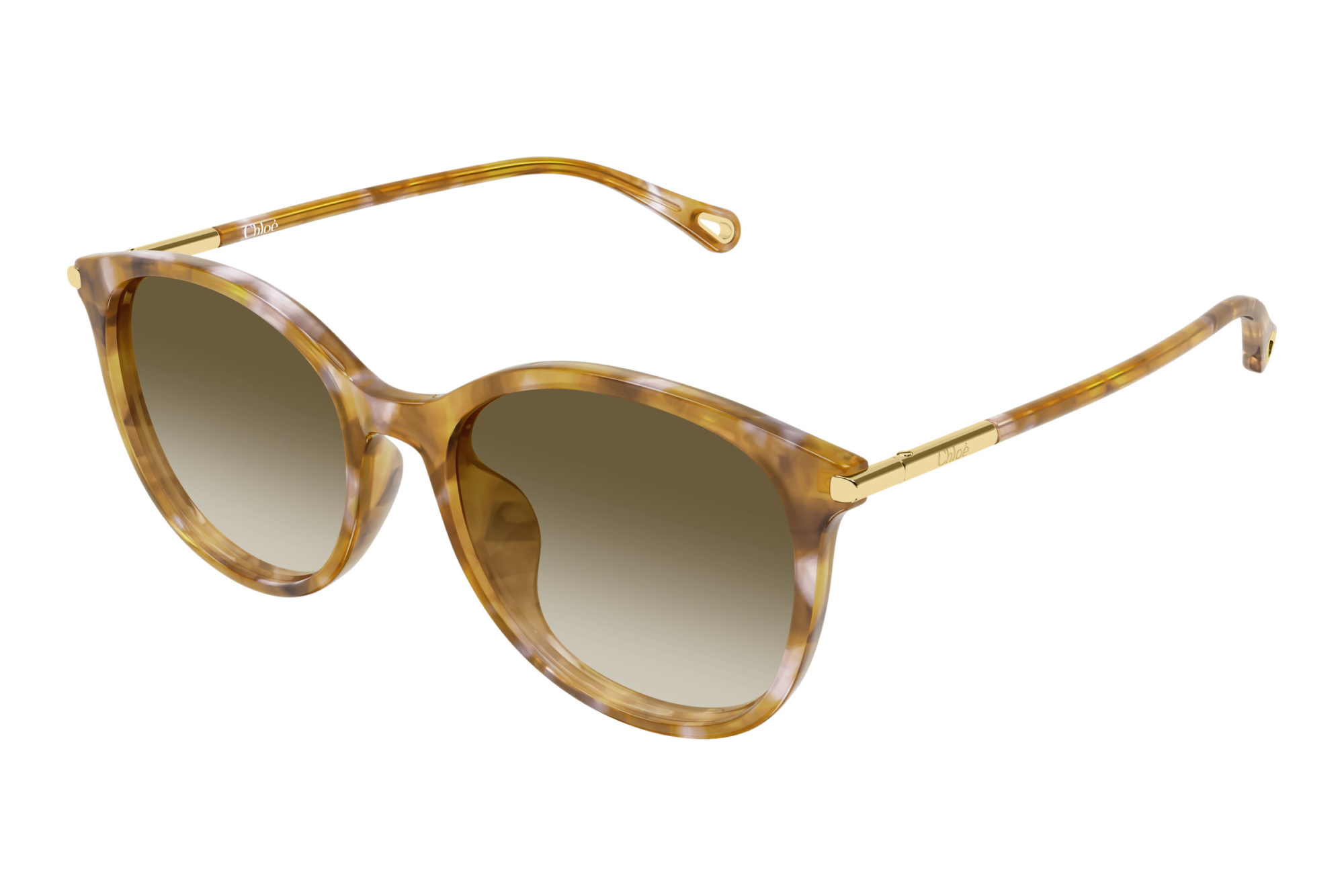 Chloé CH0397SK 003 HAVANA Chloé CH0397SK 003 HAVANA
