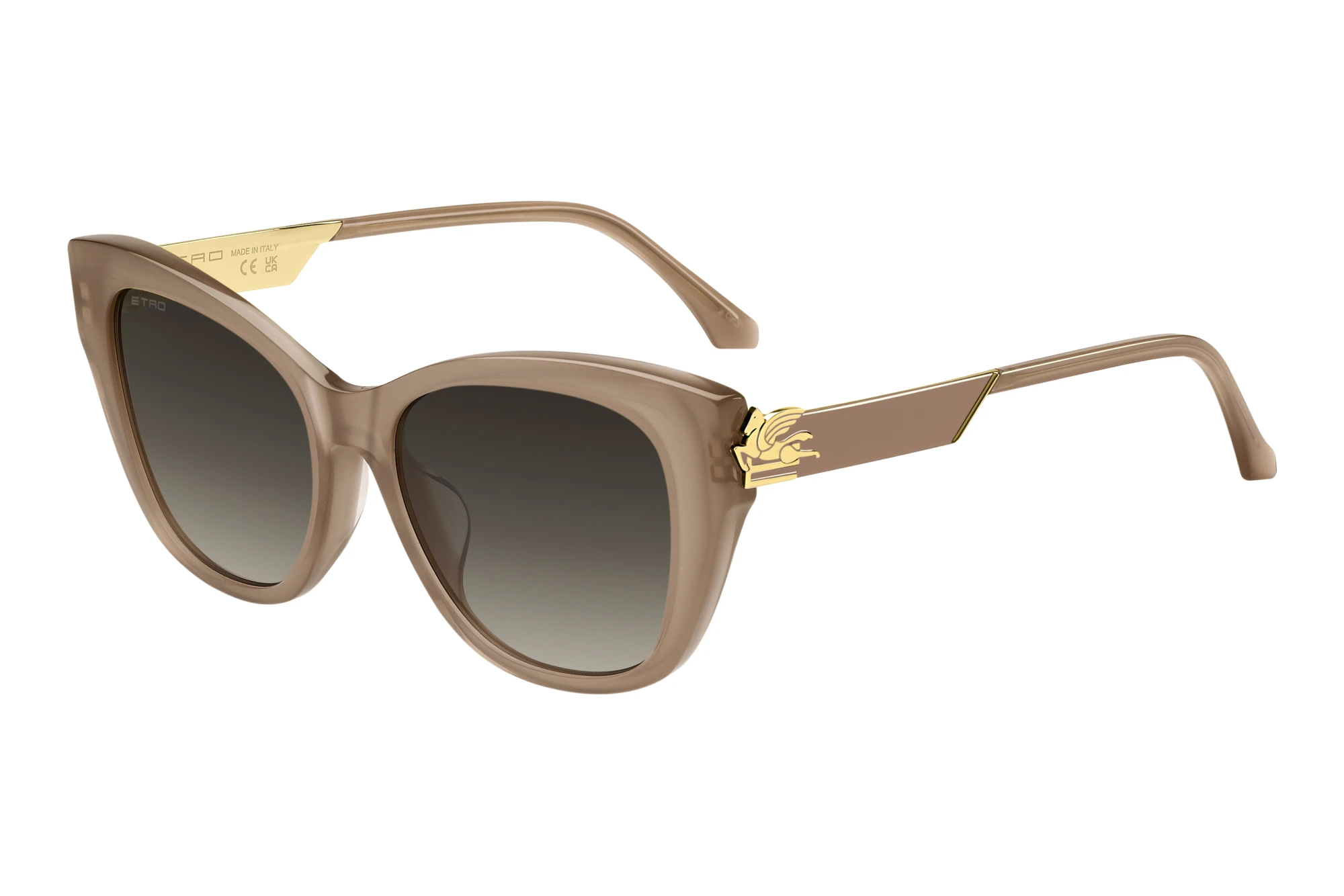 Etro ETRO 0062/F/S FWM/86 BLACK BROWN GREEN ANTIREFLEXNUDE Etro ETRO 0062/F/S FWM/86 BLACK BROWN GREEN ANTIREFLEXNUDE