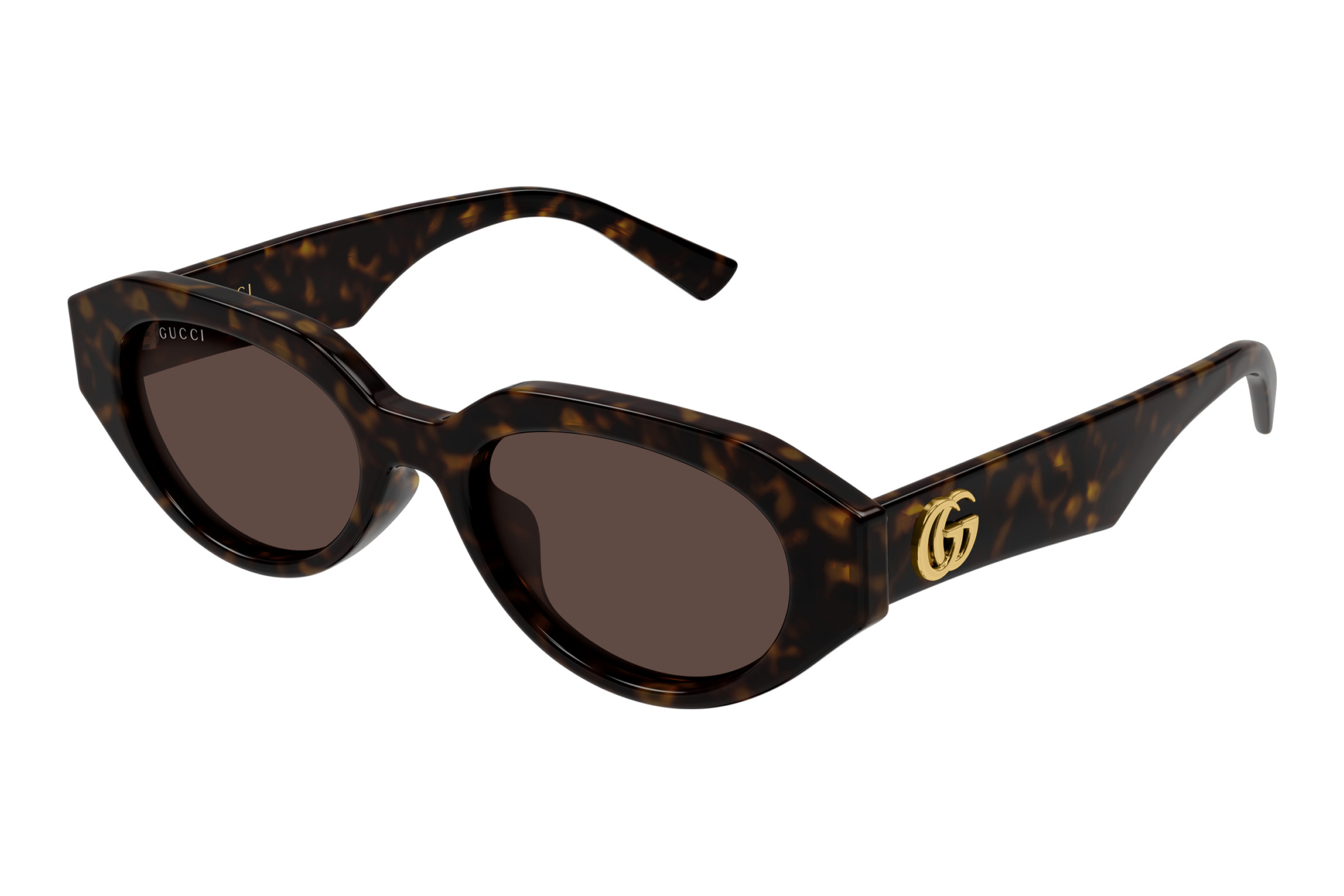 Gucci GG2206SA 002 HAVANA Gucci GG2206SA 002 HAVANA