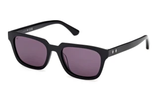 Web Eyewear WE 0391 01A