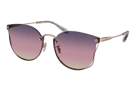 Lunettes de soleil Coach CH573 (HC7151D 9331U6)