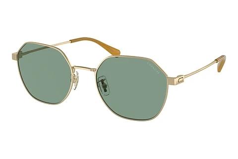 Lunettes de soleil Coach CL915 (HC7155 900582)