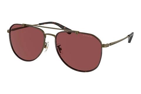 Lunettes de soleil Coach CR626 (HC7164 933375)