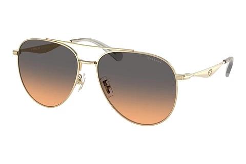 Lunettes de soleil Coach CW193 (HC7169 900518)
