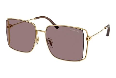 Lunettes de soleil Coach CW429 (HC7174D 94417N)