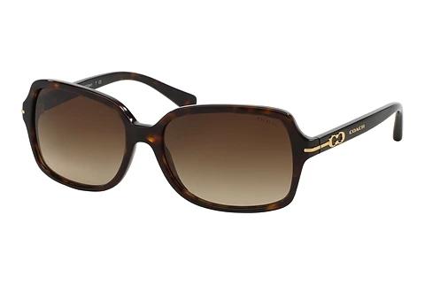 Lunettes de soleil Coach L087 BLAIR (HC8116 500113)