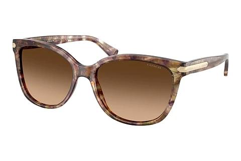 Lunettes de soleil Coach L109 (HC8132 528713)