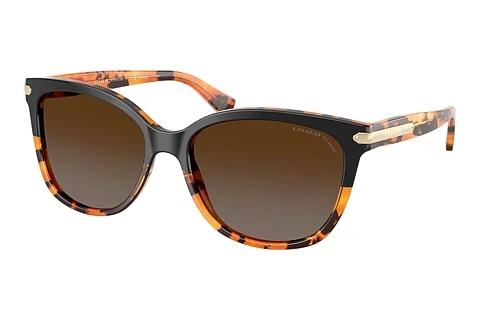 Lunettes de soleil Coach L109 (HC8132 5438T5)