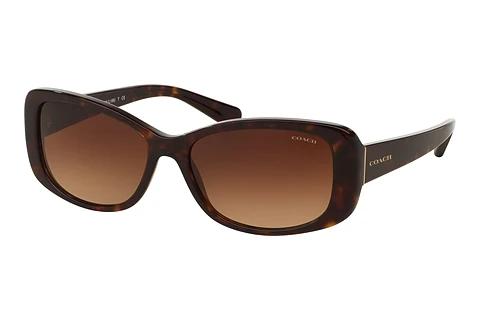 Lunettes de soleil Coach L156 (HC8168 512013)