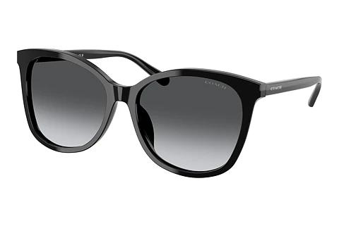 Lunettes de soleil Coach L1101 (HC8271U 5002T3)
