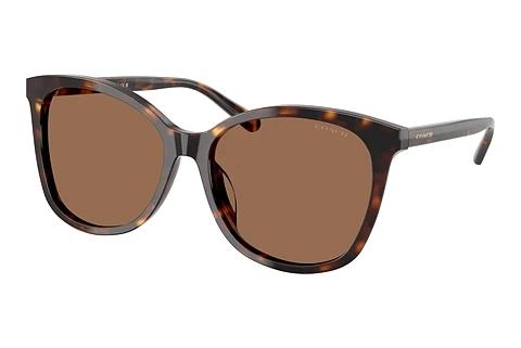 Lunettes de soleil Coach L1101 (HC8271U 512073)