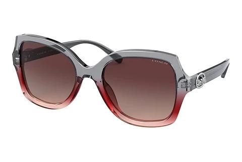 Lunettes de soleil Coach L1147 (HC8295 5620E2)