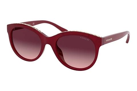 Lunettes de soleil Coach L1149 (HC8297U 56158H)