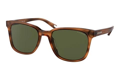 Lunettes de soleil Coach C2095 (HC8313U 558171)