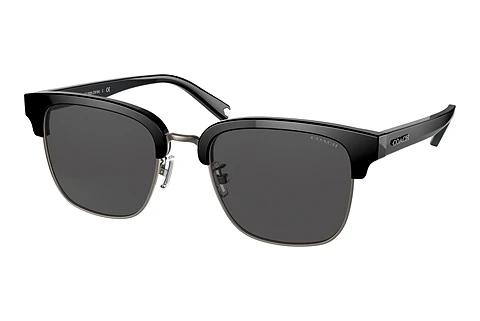 Lunettes de soleil Coach C6194 (HC8326 500287)