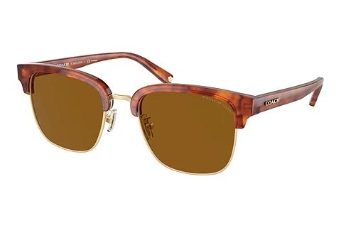 Lunettes de soleil Coach C6194 (HC8326 577483)
