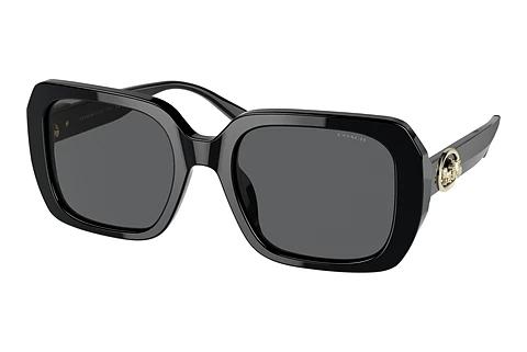 Lunettes de soleil Coach C6188 (HC8329U 500287)