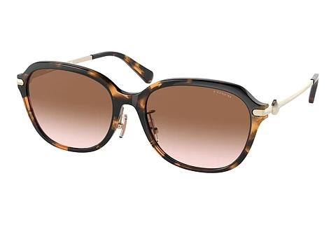 Lunettes de soleil Coach C6199 (HC8332D 512013)