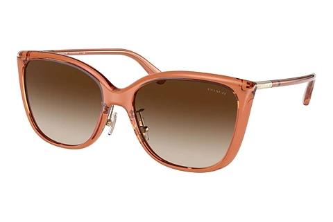 Lunettes de soleil Coach C9206 (HC8345 570013)