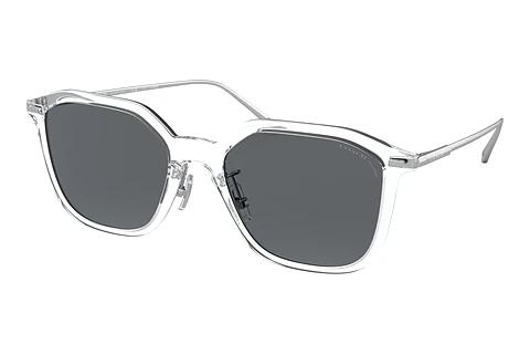 Lunettes de soleil Coach CD461 (HC8355 511181)