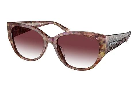 Lunettes de soleil Coach CH563 (HC8362U 57398H)