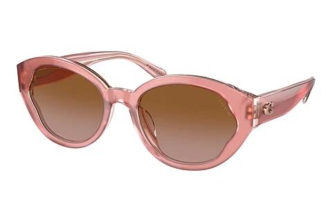 Lunettes de soleil Coach CH569 (HC8364U 574313)