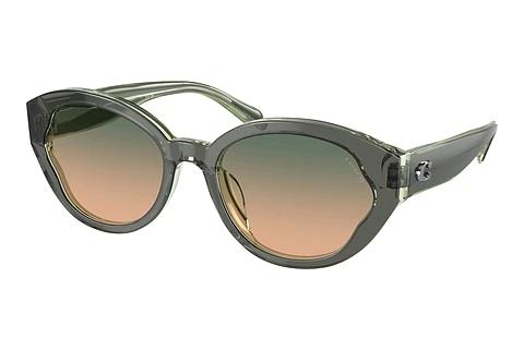 Lunettes de soleil Coach CH569 (HC8364U 574613)