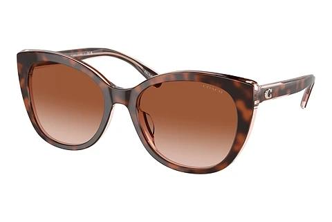Lunettes de soleil Coach CH566 (HC8365U 574413)