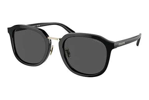 Lunettes de soleil Coach CH577 (HC8366 500287)