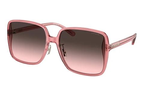 Lunettes de soleil Coach CH572 (HC8368D 580046)