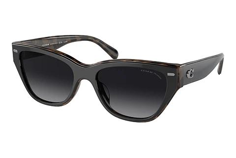 Lunettes de soleil Coach CH570 (HC8370U 5764T3)