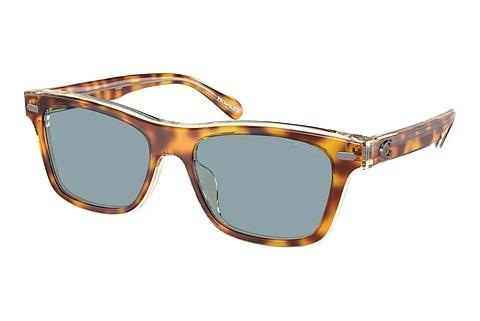 Lunettes de soleil Coach CH583 (HC8371U 575672)