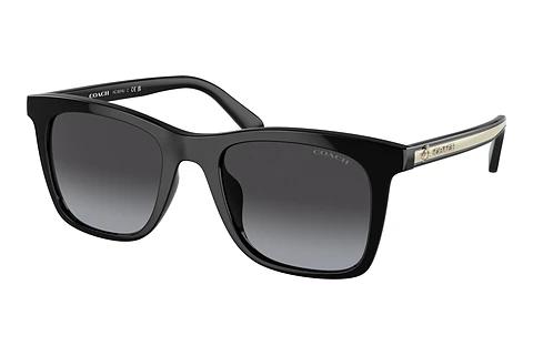 Lunettes de soleil Coach CH561 (HC8374U 50028G)