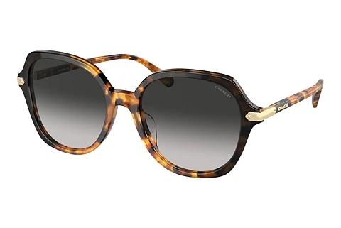 Lunettes de soleil Coach CL925 (HC8377U 577613)