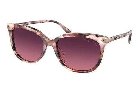 Lunettes de soleil Coach CL926 (HC8378U 5528F4)
