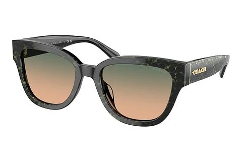 Lunettes de soleil Coach CL920 (HC8379U 578413)