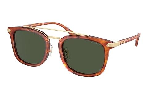 Lunettes de soleil Coach CL913 (HC8382 577482)