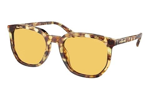 Lunettes de soleil Coach CL911 (HC8384U 504585)