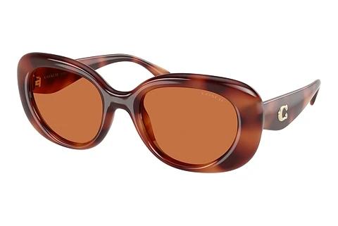 Lunettes de soleil Coach CR609 (HC8391U 577473)