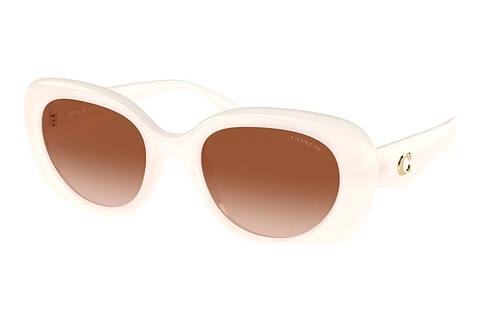 Lunettes de soleil Coach CR609 (HC8391U 580513)