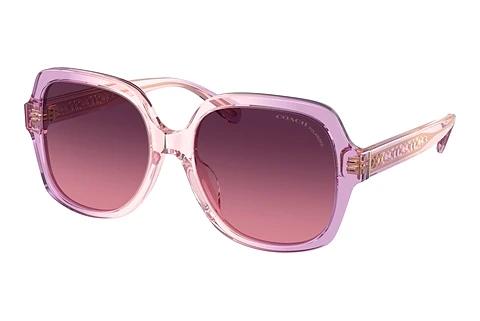 Lunettes de soleil Coach CR614 (HC8395U 5813F4)