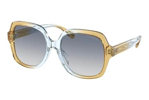 Lunettes de soleil Coach CR614 (HC8395U 581435)