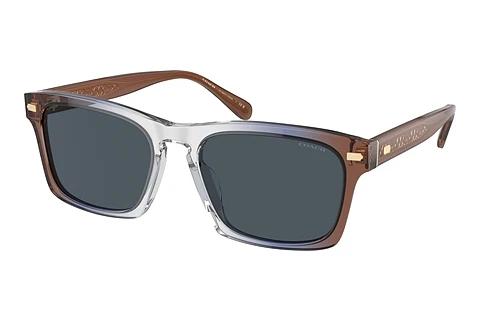 Lunettes de soleil Coach CR628 (HC8397U 581587)