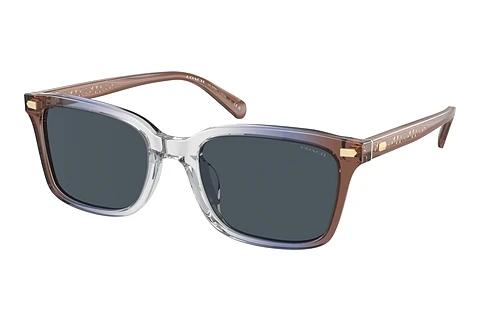 Lunettes de soleil Coach CR630 (HC8398U 581587)