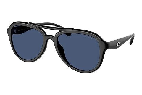 Lunettes de soleil Coach CW183 (HC8406U 500287)