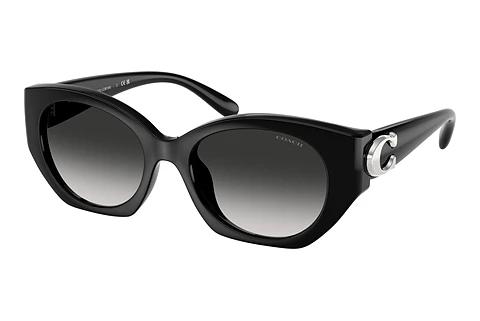Lunettes de soleil Coach CW194 (HC8407U 50023C)