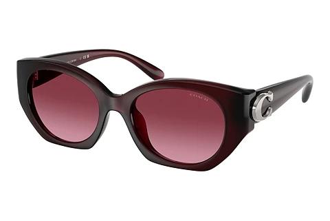 Lunettes de soleil Coach CW194 (HC8407U 53938H)