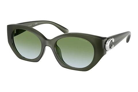 Lunettes de soleil Coach CW194 (HC8407U 584017)