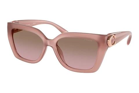 Lunettes de soleil Coach CW195 (HC8408U 583914)